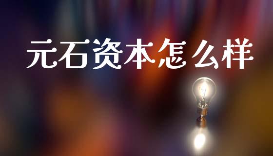 元石资本怎么样_https://cj004.lansai.wang_外汇交易_第1张