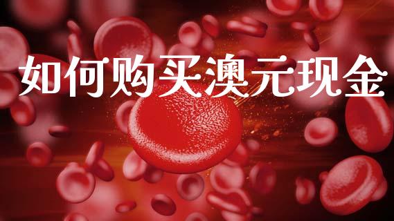 如何购买澳元现金_https://cj004.lansai.wang_财经新闻_第1张