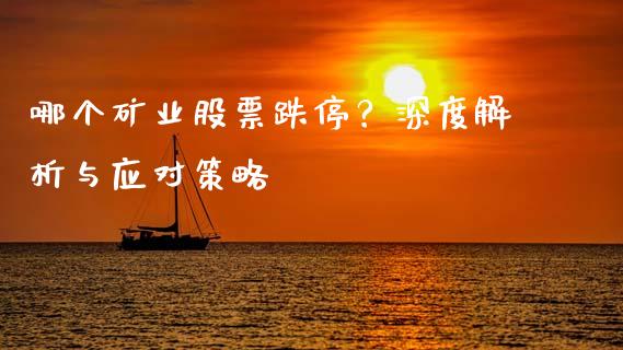 哪个矿业股票跌停？深度解析与应对策略_https://cj004.lansai.wang_债券资讯_第1张