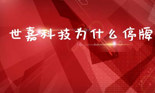 世嘉科技为什么停牌_https://cj004.lansai.wang_外汇交易_第1张