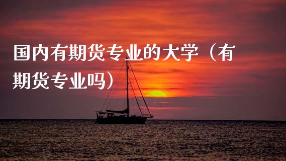 国内有期货专业的大学（有期货专业吗）_https://cj004.lansai.wang_金融监管_第1张