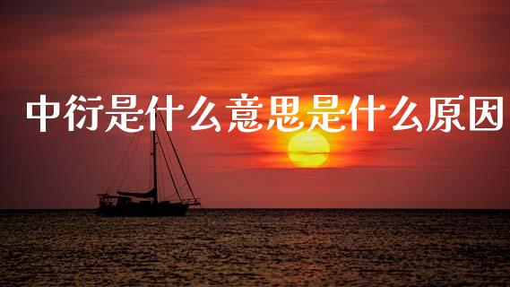 中衍是什么意思是什么原因_财经新闻_第1张_期货开户_金融监管_外汇交易_债券资讯_全球市场_财经新闻 中衍是什么意思是什么原因_https://cj004.lansai.wang_财经新闻_第1张