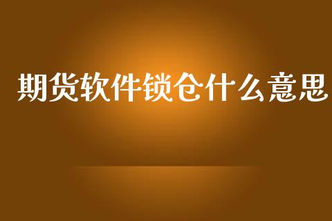 期货软件锁仓什么意思_https://cj004.lansai.wang_外汇交易_第1张
