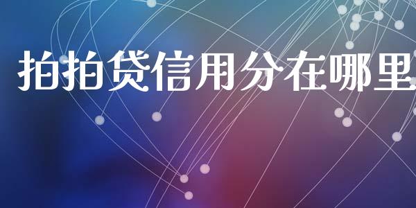 拍拍贷信用分在哪里_https://cj004.lansai.wang_财经新闻_第1张
