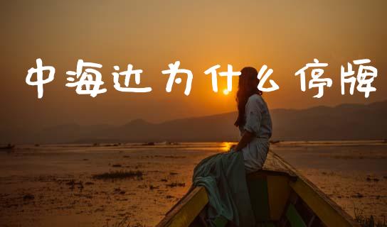 中海达为什么停牌_https://cj004.lansai.wang_外汇交易_第1张