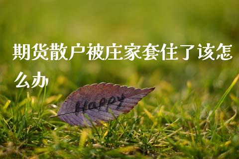 期货散户被庄家套住了该怎么办_https://cj004.lansai.wang_财经新闻_第1张