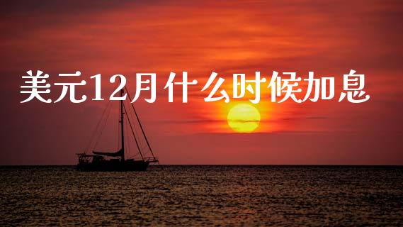 美元12月什么时候加息_https://cj004.lansai.wang_债券资讯_第1张