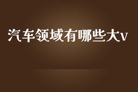 汽车领域有哪些大v_https://cj004.lansai.wang_期货开户_第1张