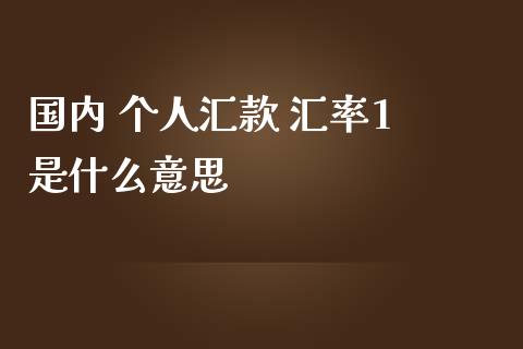 国内 个人汇款 汇率1 是什么意思_https://cj004.lansai.wang_财经新闻_第1张