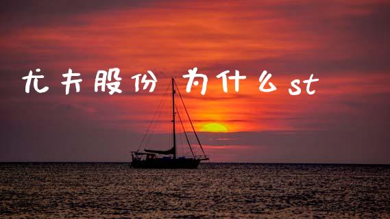 尤夫股份 为什么st_https://cj004.lansai.wang_金融监管_第1张