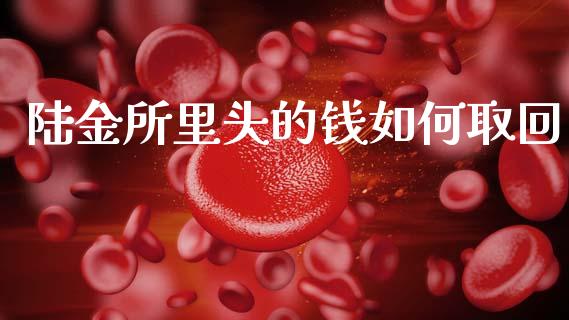陆金所里头的钱如何取回_https://cj004.lansai.wang_财经新闻_第1张