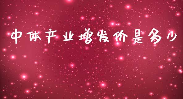 中体产业增发价是多少_https://cj004.lansai.wang_财经新闻_第1张