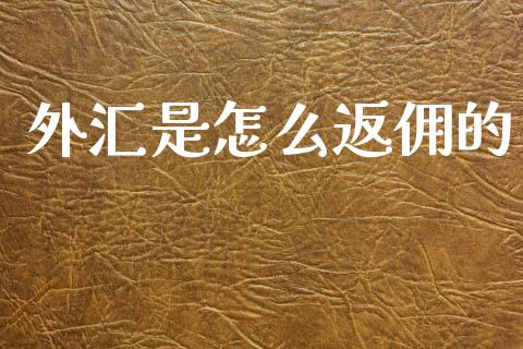 外汇是怎么返佣的_https://cj004.lansai.wang_债券资讯_第1张