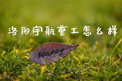 洛阳宇航重工怎么样_https://cj004.lansai.wang_金融监管_第1张