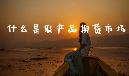 什么是农产品期货市场_https://cj004.lansai.wang_债券资讯_第1张