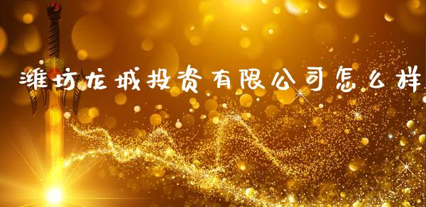 潍坊龙城投资有限公司怎么样_https://cj004.lansai.wang_债券资讯_第1张