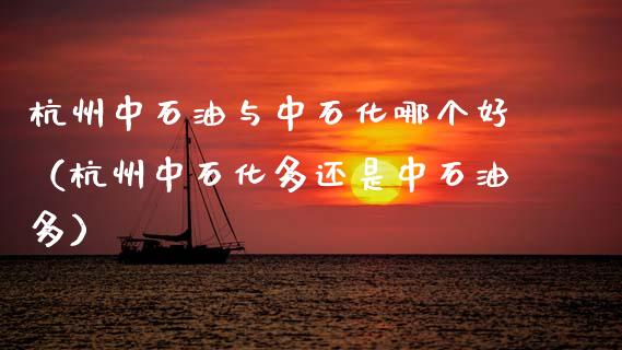 杭州中石油与中石化哪个好（杭州中石化多还是中石油多）_https://cj004.lansai.wang_期货开户_第1张