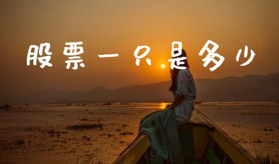 股票一只是多少_https://cj004.lansai.wang_金融监管_第1张