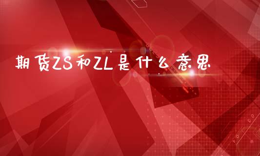期货ZS和ZL是什么意思_https://cj004.lansai.wang_全球市场_第1张