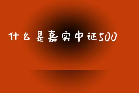 什么是嘉实中证500_https://cj004.lansai.wang_债券资讯_第1张