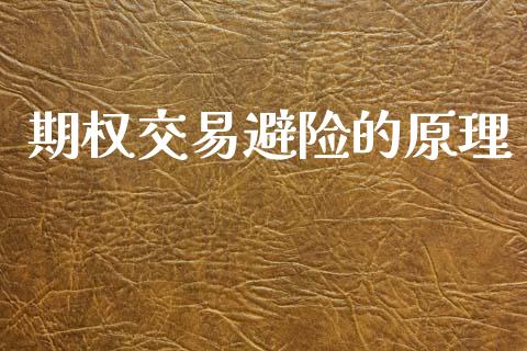 期权交易避险的原理_https://cj004.lansai.wang_外汇交易_第1张
