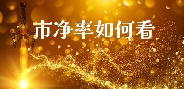 市净率如何看_https://cj004.lansai.wang_财经新闻_第1张