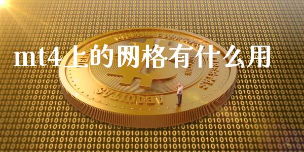 mt4上的网格有什么用_https://cj004.lansai.wang_全球市场_第1张