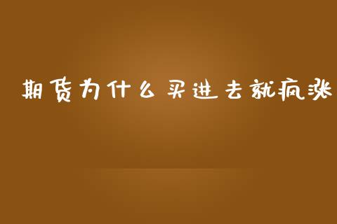 期货为什么买进去就疯涨_https://cj004.lansai.wang_金融监管_第1张