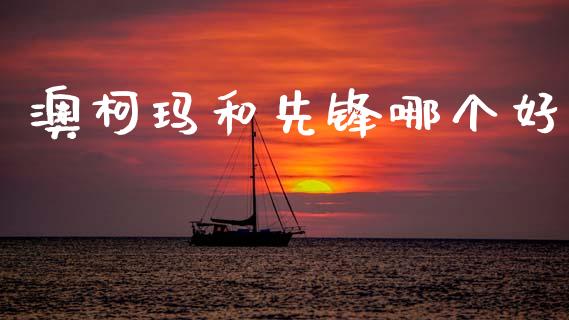 澳柯玛和先锋哪个好_https://cj004.lansai.wang_期货开户_第1张