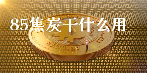 85焦炭干什么用_https://cj004.lansai.wang_期货开户_第1张