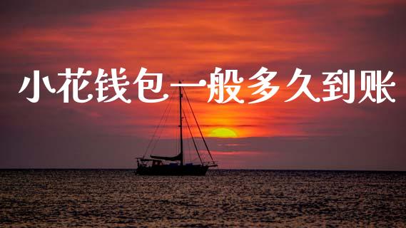 小花钱包一般多久到账_https://cj004.lansai.wang_全球市场_第1张