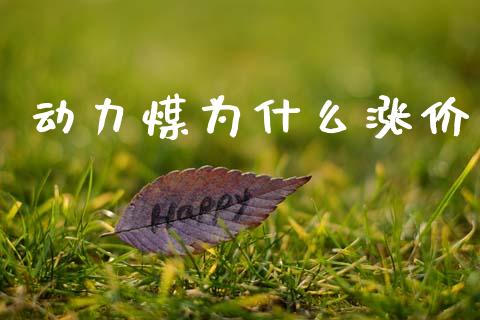 动力煤为什么涨价_https://cj004.lansai.wang_债券资讯_第1张
