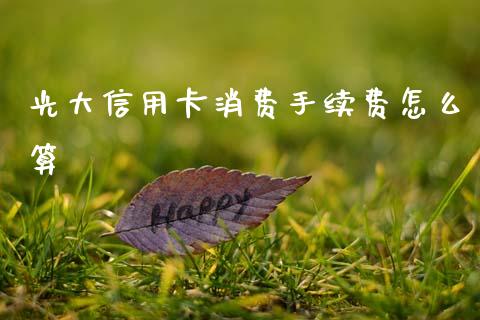 光大信用卡消费手续费怎么算_https://cj004.lansai.wang_全球市场_第1张