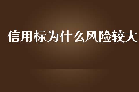信用标为什么风险较大_https://cj004.lansai.wang_财经新闻_第1张