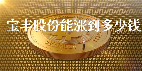 宝丰股份能涨到多少钱_https://cj004.lansai.wang_期货开户_第1张