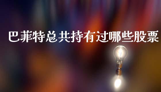 巴菲特总共持有过哪些股票_https://cj004.lansai.wang_期货开户_第1张
