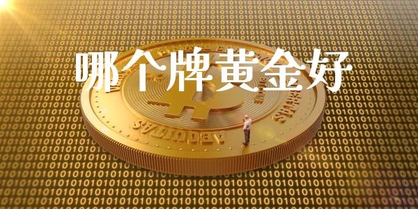 哪个牌黄金好_https://cj004.lansai.wang_期货开户_第1张