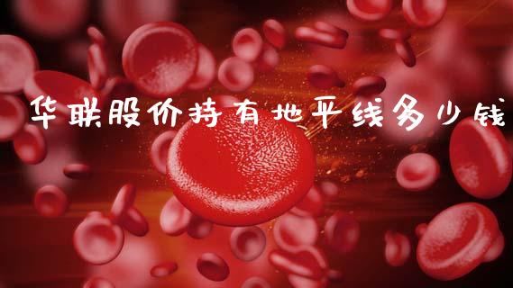 华联股价持有地平线多少钱_https://cj004.lansai.wang_财经新闻_第1张