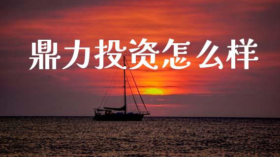 鼎力投资怎么样_https://cj004.lansai.wang_期货开户_第1张