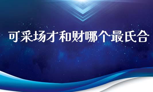 可采场才和财哪个最氏合_https://cj004.lansai.wang_债券资讯_第1张