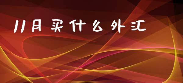 11月买什么外汇_https://cj004.lansai.wang_期货开户_第1张
