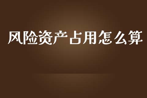 风险资产占用怎么算_https://cj004.lansai.wang_外汇交易_第1张