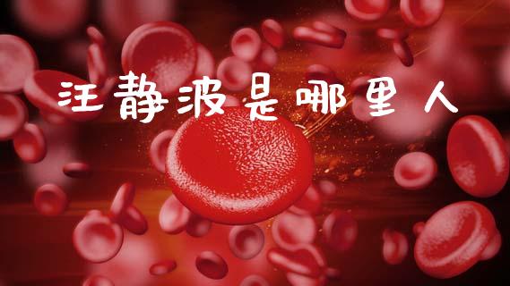 汪静波是哪里人_https://cj004.lansai.wang_期货开户_第1张