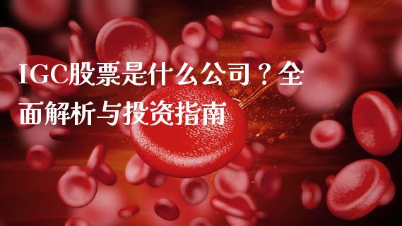 IGC股票是什么公司？全面解析与投资指南_https://cj004.lansai.wang_全球市场_第1张