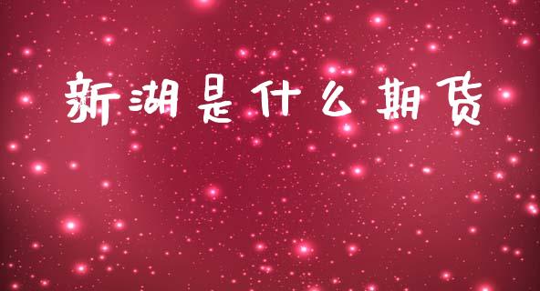 新湖是什么期货_https://cj004.lansai.wang_金融监管_第1张