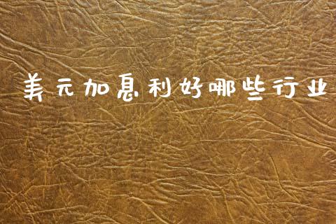 美元加息利好哪些行业_https://cj004.lansai.wang_外汇交易_第1张