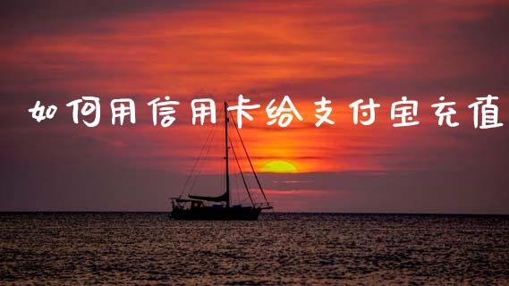 如何用信用卡给支付宝充值_https://cj004.lansai.wang_全球市场_第1张