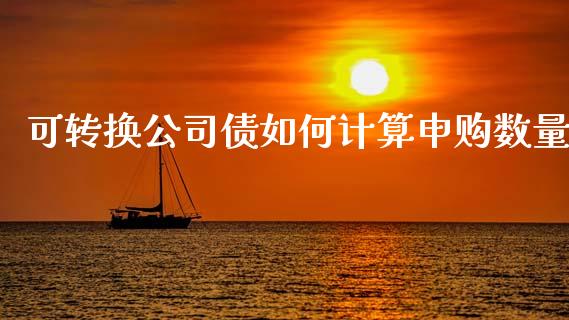 可转换公司债如何计算申购数量_https://cj004.lansai.wang_财经新闻_第1张