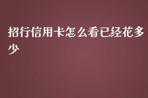 招行信用卡怎么看已经花多少_https://cj004.lansai.wang_金融监管_第1张