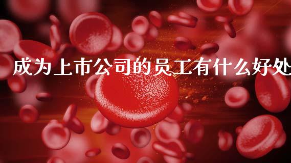 成为上市公司的员工有什么好处_https://cj004.lansai.wang_财经新闻_第1张